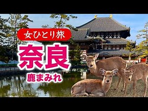 【女ひとり旅】奈良で鹿まみれ♡ 世界遺産 2026.02【国内旅行】