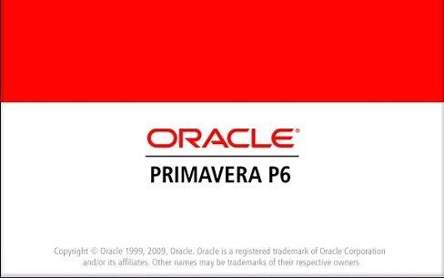 Primavera P6 Professional-数据规划篇