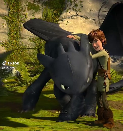 How to Train Your Dragon: Hiccups and Haddock Compilation