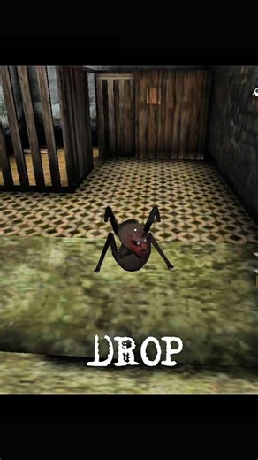 Granny and grandpa pet killed by Me