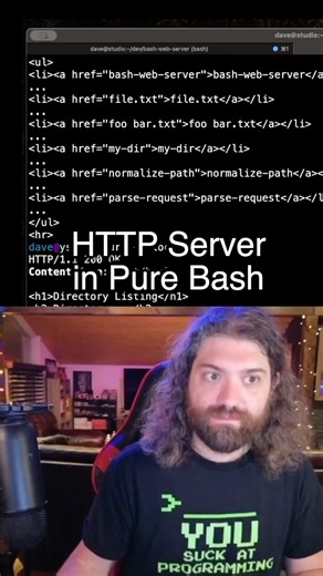 Dave Eddy | hacking my webserver with netcat to reveal /etc/passwd with path traversal! you suck at programming #programming #devops #bash #linux #unix... | Instagram