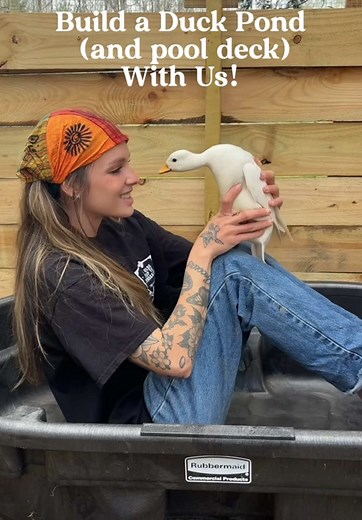 Creating Relaxing Duck Pools for Your Backyard