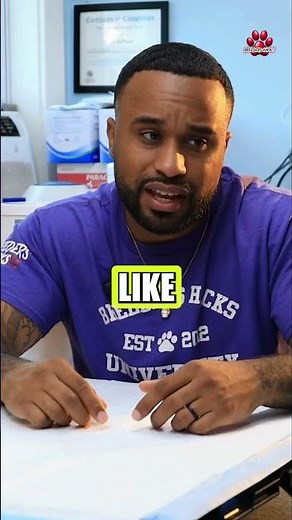 What you need to know about discharges in female dogs?