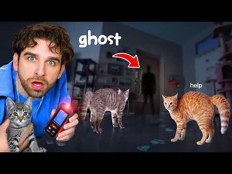 My Kittens FOUND a GHOST In My House... (Haunted)