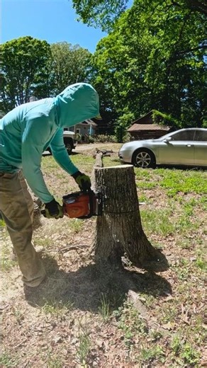 Cutting and cleaning up death tree #treework #shorts