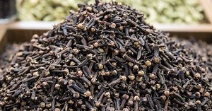 Clou de girofle : usages, bienfaits et risques