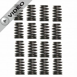Matched Beehive Valve Springs for 604 and CT525 - Set of 16 - #19420455-M