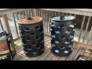 Composting Barrel Garden 54 plants