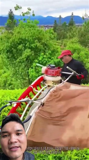 Farmers Harvesting Tea #farming