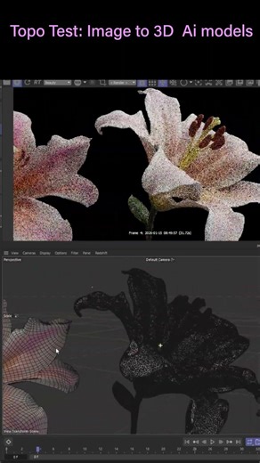 Topo Tests: Image to 3D Ai models.