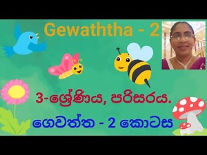 Gewaththa, 3 - ශ්‍රේණිය, පරිසරය, ගෙවත්ත, 2 කොටස.