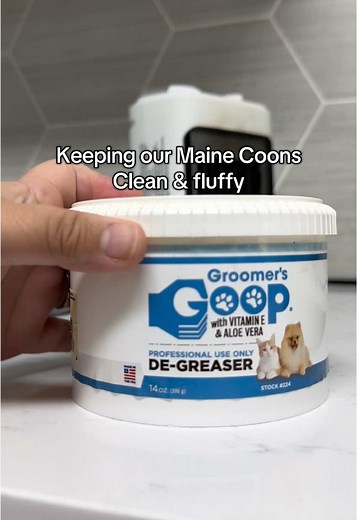 How to Properly Bathe Maine Coons for Fluffy Coats