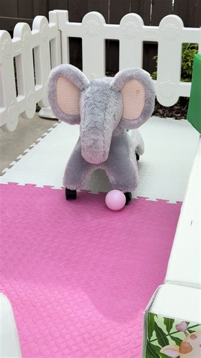 Wild ONE theme! #softplay #wildone #birthday #eldoradohills #party