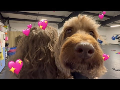 Doodle Party! Angela’s Birthday Extravaganza 🎉