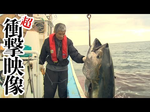 The size of Oma's tuna, Japan's best, was shocking...