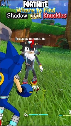 Fortnite Where to Find Shadow the Hedgehog and Knuckles The Echidna #fortnite #Shadow #Knuckles
