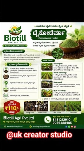 ಟ್ರೈಕೋಡೆರ್ಮಾ ಬಳಸಿ ಬೆಳೆ ದ್ವಿಗುಣ! 🌱 | Trichoderma Viride ರೈತರಿಗೆಸೂಪರ್ ಟಿಪ್ಸ್#shortsfeed#shortfeed