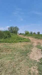 376K views · 917 reactions | 280konja sirove snage | TRAKTORI . HR | Facebook