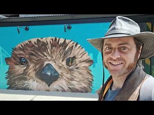 An Introduction to the Marine Mammal Center