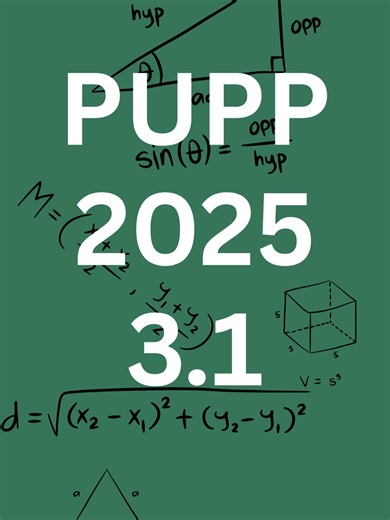 PUPP 2025 3.1#matematika #korepetitorius #korepa #pupp #vbe #10klase