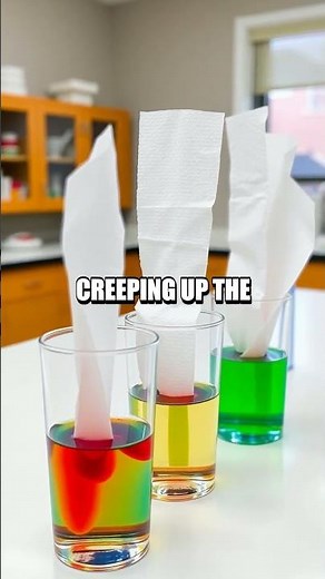 The Water Walking Rainbow Experiment