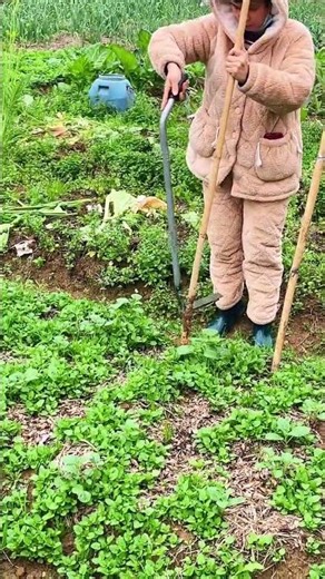 Easy Intubation Tool: Revolutionizing Agricultural Support