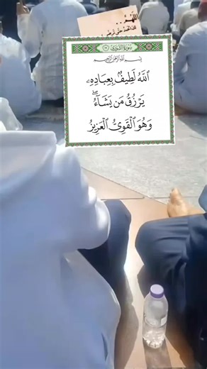 اللَّهُ لَطيفٌ بِعِبادِهِ يَرزُقُ مَن يَشاءُ وَهُوَ القَوِيُّ العَزيزُ