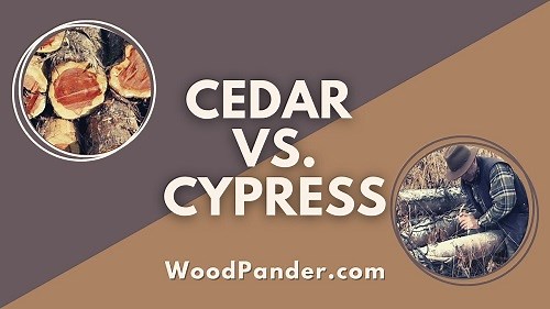 Cedar vs Cypress Wood: Hidden Advantages
