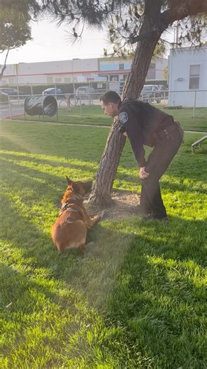 The 41st Annual K9 Community Fundraising Dinner was a complete success. We thank every single person who showed up, donated and supported our K-9 unit, this wouldn’t of been possible without you. #k9unit #community #dinnerfundraiser #policedogs #hawthornepolice #policeexplorers #cityofhawthorne #cityofgoodneighbors | Hawthorne Police