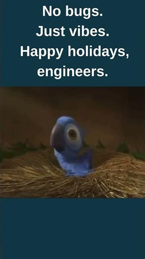 No bugs. Just vibes. Happy holidays, engineers.