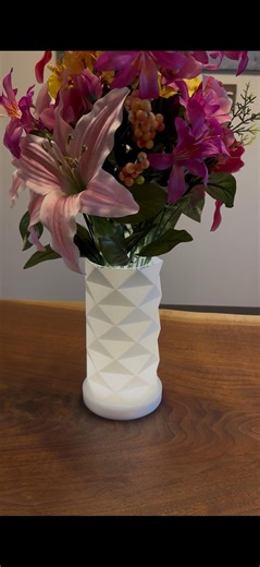 Tri - LED - 2 in 1 - Lamp & Vase - Day or Night - Etsy