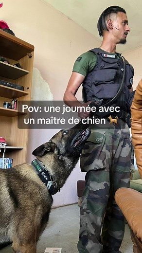 Une journée avec un maître de chien - Entraînement et détente 🐕