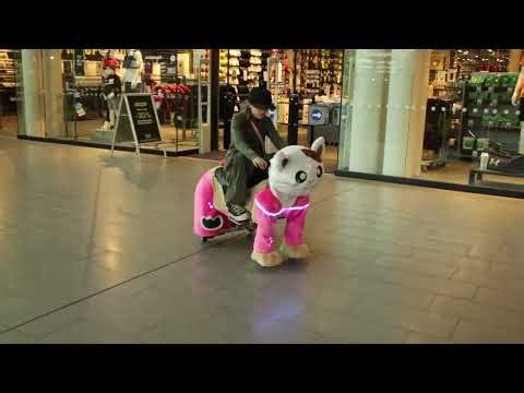 Little Explorers on the Move 🚗 | ZoomZoo Kids Rides Compilation