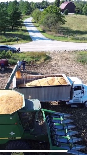 2025 #nebraska #harvest 🌽#cornfarming #farming
