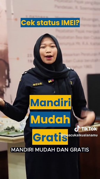 Cara Cek Status IMEI di Bea Cukai Mudah dan Gratis