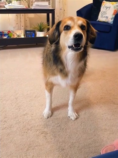 Daddy better watch out 😂