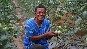 ✨กว่า 20 ปี ที่ สวพส. มุ่งมั่นพัฒนาชุมชนบนพื้นที่สูงของไทย ให้มีคุณชีวิตควาทเป็นอยุ่ที่ดีขึ้น ด้วยการสืบสาน รักษา ต่อยอด งานโครงการหลวง ขยายผลสำเร็จไปสู่พื้นที่สูงอื่น ๆ ด้วยหลักการพัฒนาแบบโครงการหลวง การปรับระบบเกษตรกรที่เป็นมิตรกับสิ่งแวดล้อม การสร้างชุมชนที่เข้มแข็ง ควบคู่ไปกับการดูแลรักษาสิ่งแวดล้อม ส่งผลให้ชุมชนบนพื้นที่ลดการเผา ลดการใช้สารคมี กลับมาทำเกษตรที่ไม่ทำลายสิ่งแวดล้อม และยังช่วยกันดูแลรักษาสิ่งแวดล้อมทั้งดิน น้ำ ป่า อีกด้วย✨ | สถาบันวิจัยและพัฒนาพื้นที่สูง(องค์การมหาชน) - HRDI