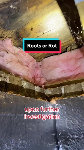 Root damage to a foundation occurs when tree roots grow beneath the foundation, causing it to crack or shift. This can lead to structural issues in the home. On the other hand, moisture penetration can cause rot, weakening the integrity of the structure. To prevent both, regularly inspect for signs of water damage, ensure proper drainage away from the foundation, and trim trees and bushes away from the house. Additionally, consider installing root barriers to prevent tree roots from encroaching