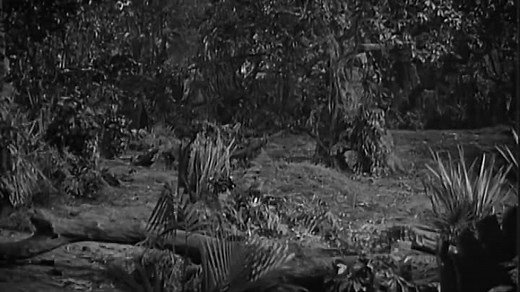 Bataan (1943) Robert Taylor, George Murphy, Lloyd Nolan, Robert Walker