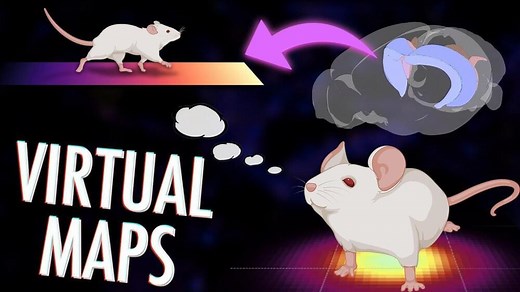 Place cells: How your brain creates maps of abstract spaces – Lifeboat News: The Blog