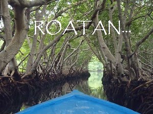 Roatan Tour