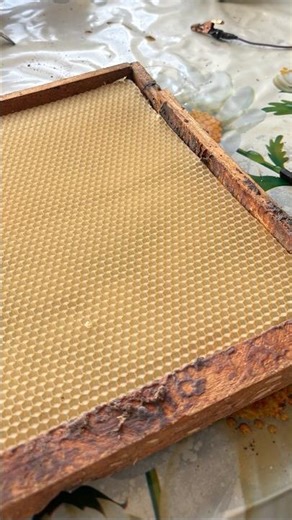 Waxing Dadant frames. For my Bees 🐝