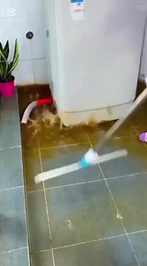 3M views · 7.2K reactions |  मूल्य: ४ pcs – मात्र Rs. 799 /- ...