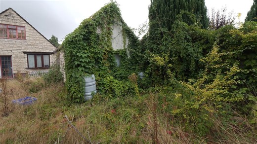 She hasn’t seen her garden in 19 years until now 🪴