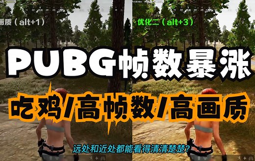 【纯干货】2022年最新版pubg帧数优化教程，低配机也能拥有高画质