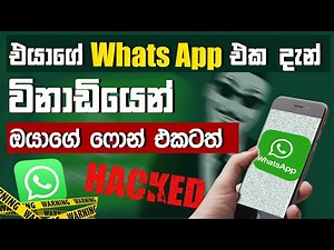 How To Linked Devices in Whatsapp sinhala | Whatsapp Link as Companion Device New Update