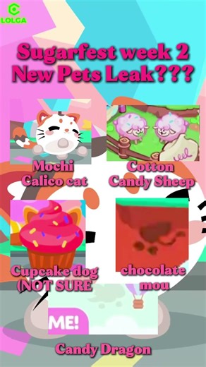 🧇 NEW Sugarfest PETS This Week 2?! Mochi Meow & Waffle Wyrm and... 🐈 #adoptme #lolga #adoptmeroblox