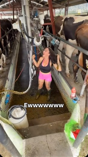 Wild Kingdom on Instagram: "Indian Baptism"