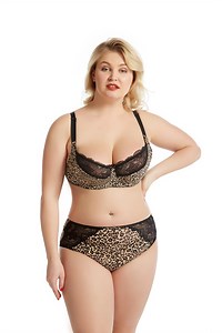[Hot Item] Intiflower Luxury Leopard Print Lace Decorated Def Cup Plus Size Bra Sets Sexy Women Underwear Sexy Bra Panty Set Push up