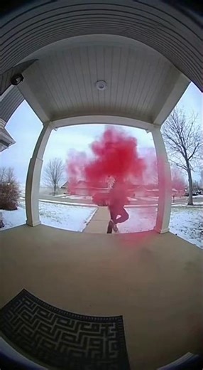 Hoodie Thief Blasted by RED Smoke Bomb! 😂 Ring Cam Catches Chaos #shorts